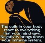 The cells in your body react to everything that your mind says. Negativity brings down your immune system.